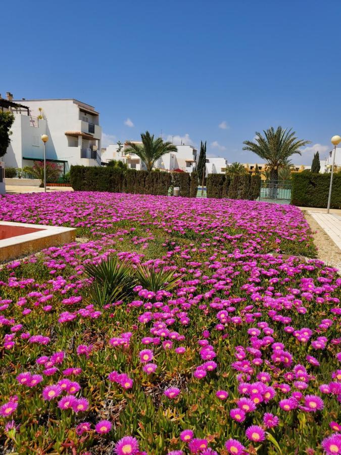 Casa Baja Naturista Con Patio En Primera Linea De Playa Con Piscina Comunitaria! Vera Buitenkant foto